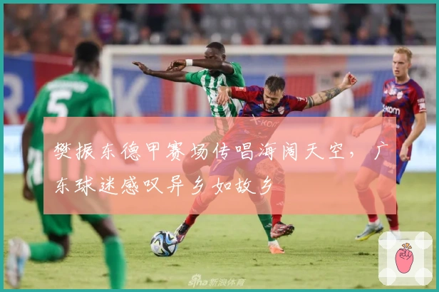 樊振东德甲赛场传唱海阔天空，广东球迷感叹异乡如故乡